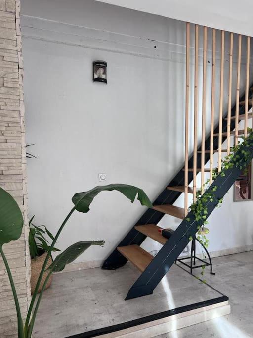 Maison Type 4 Et Jardin Spacieux Син Екстериор снимка